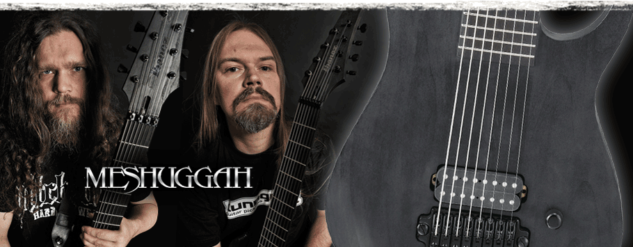 Meshuggah Signature